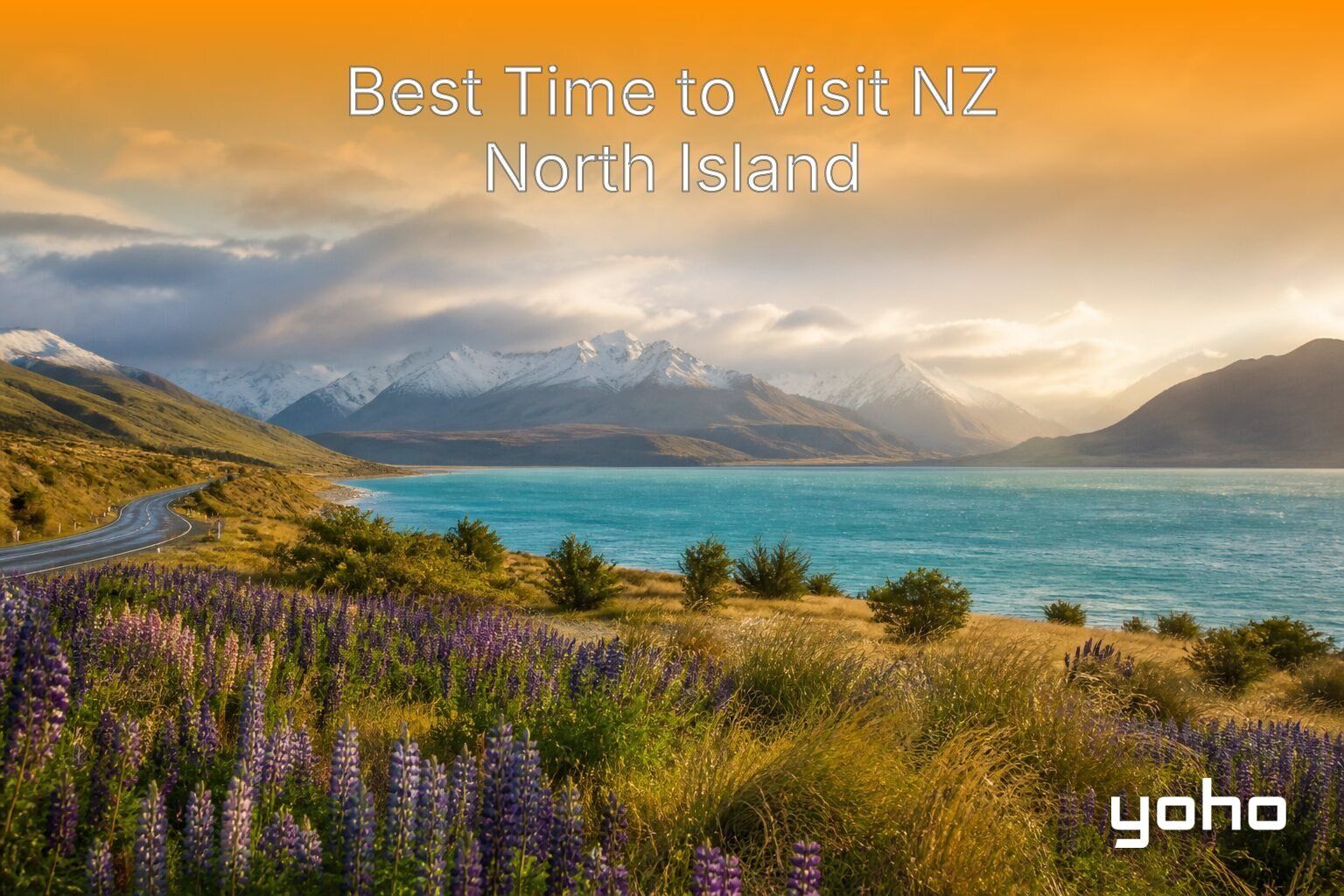 Periodo migliore per visitare l’Isola del Nord NZ