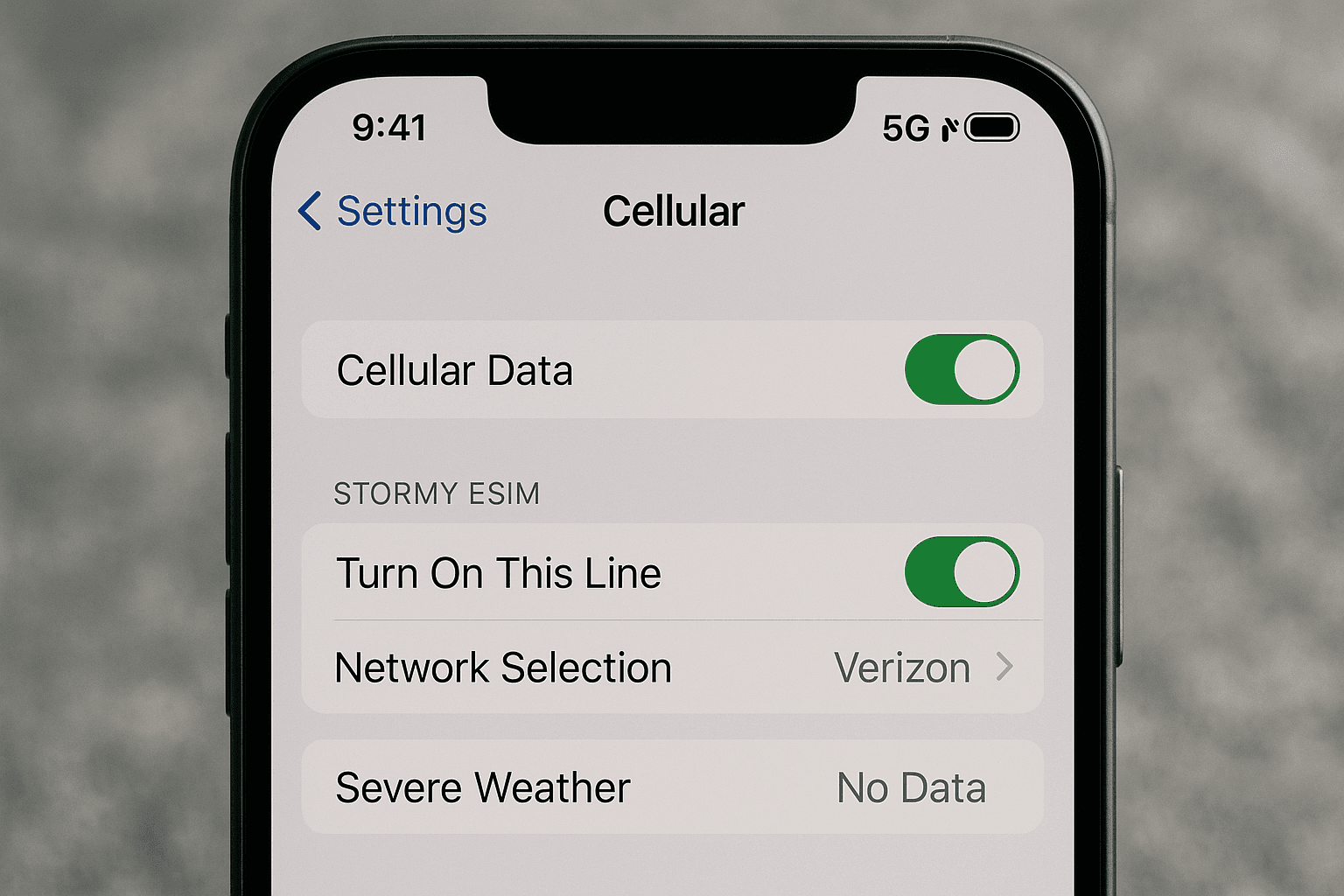 eSIM Settings Display