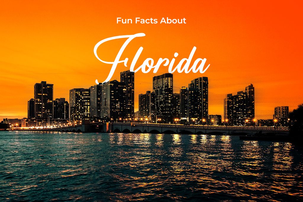 Fun, Weird, and Cool Florida Facts That Will Blow Your Mind