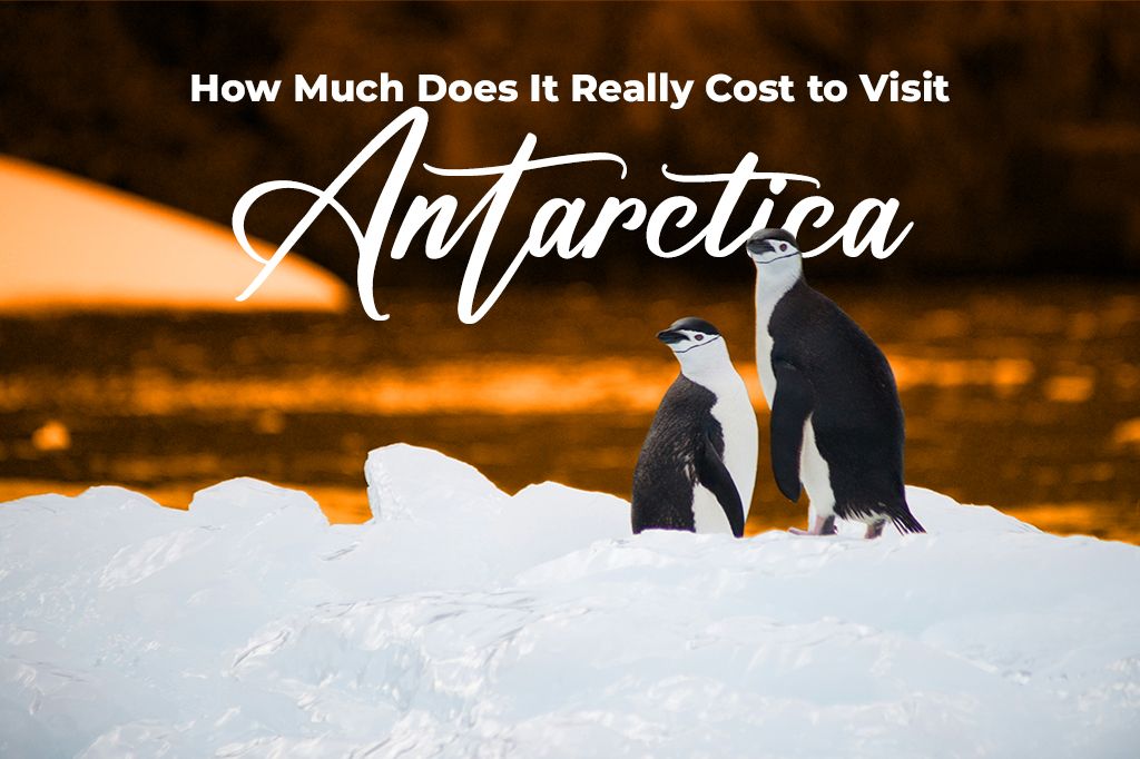 How Much Does It Really Cost to Visit Antarctica
