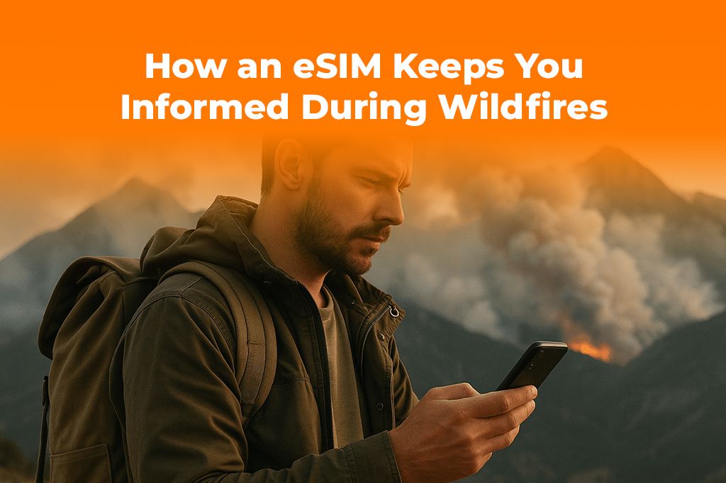 Travel Safety: How an eSIM Keeps You Informed During Wildfires