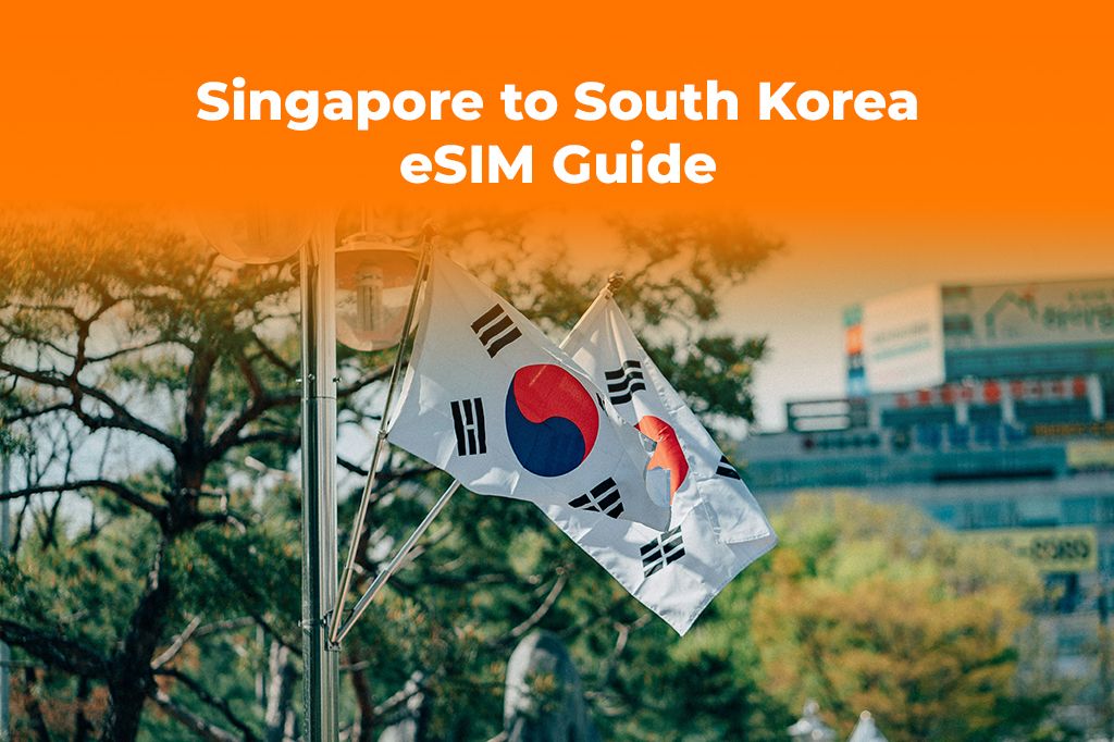 Singapore to South Korea Travel: Get the Best eSIM Data Plan