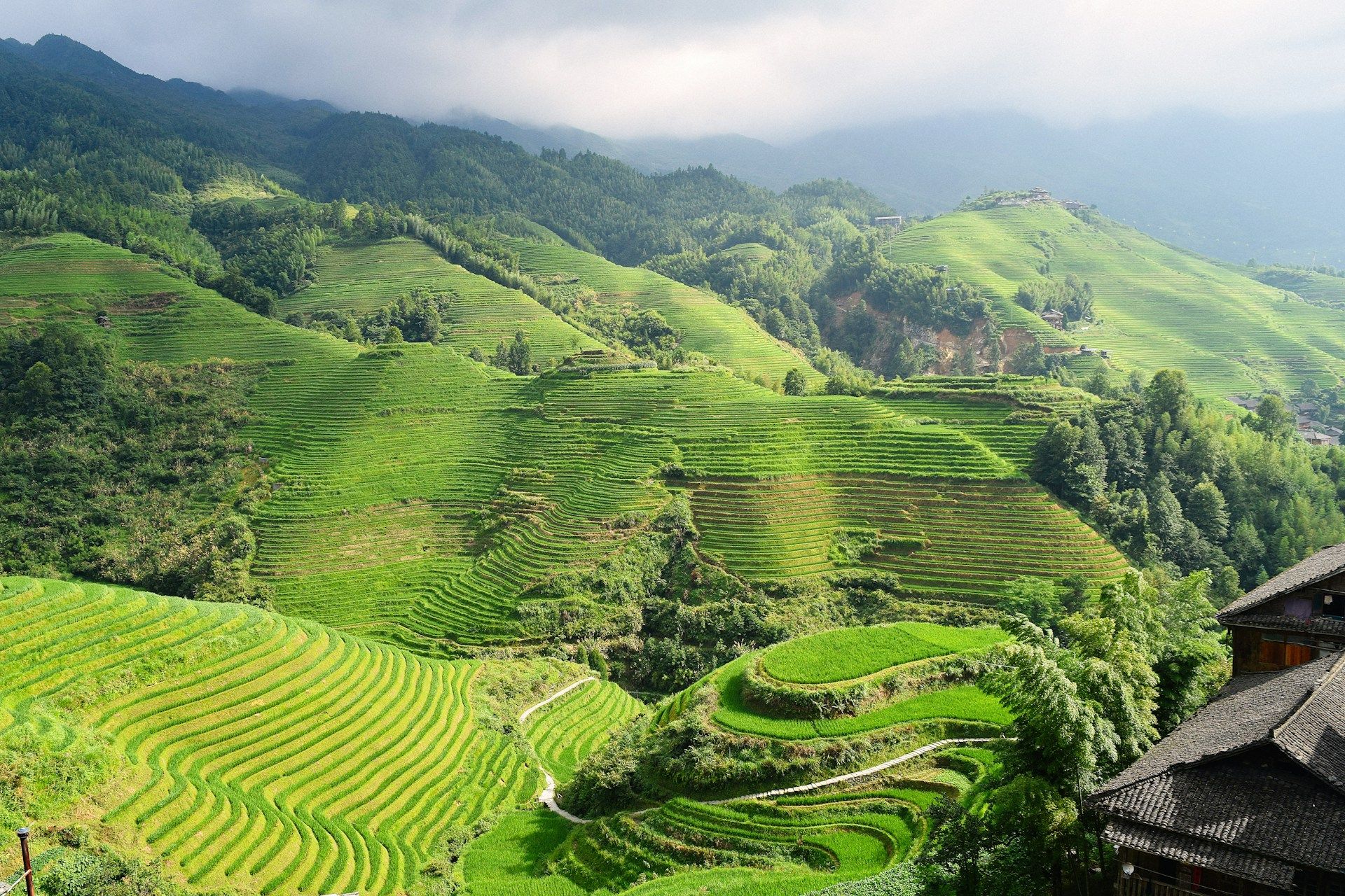 green-landscapes-in-guilin
