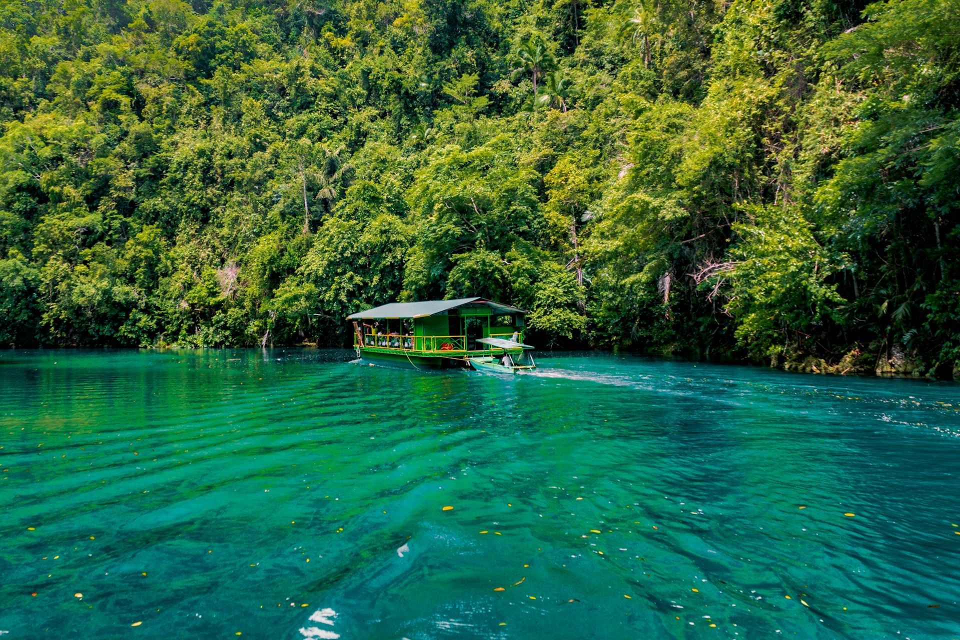 house-in-the-loboc-river