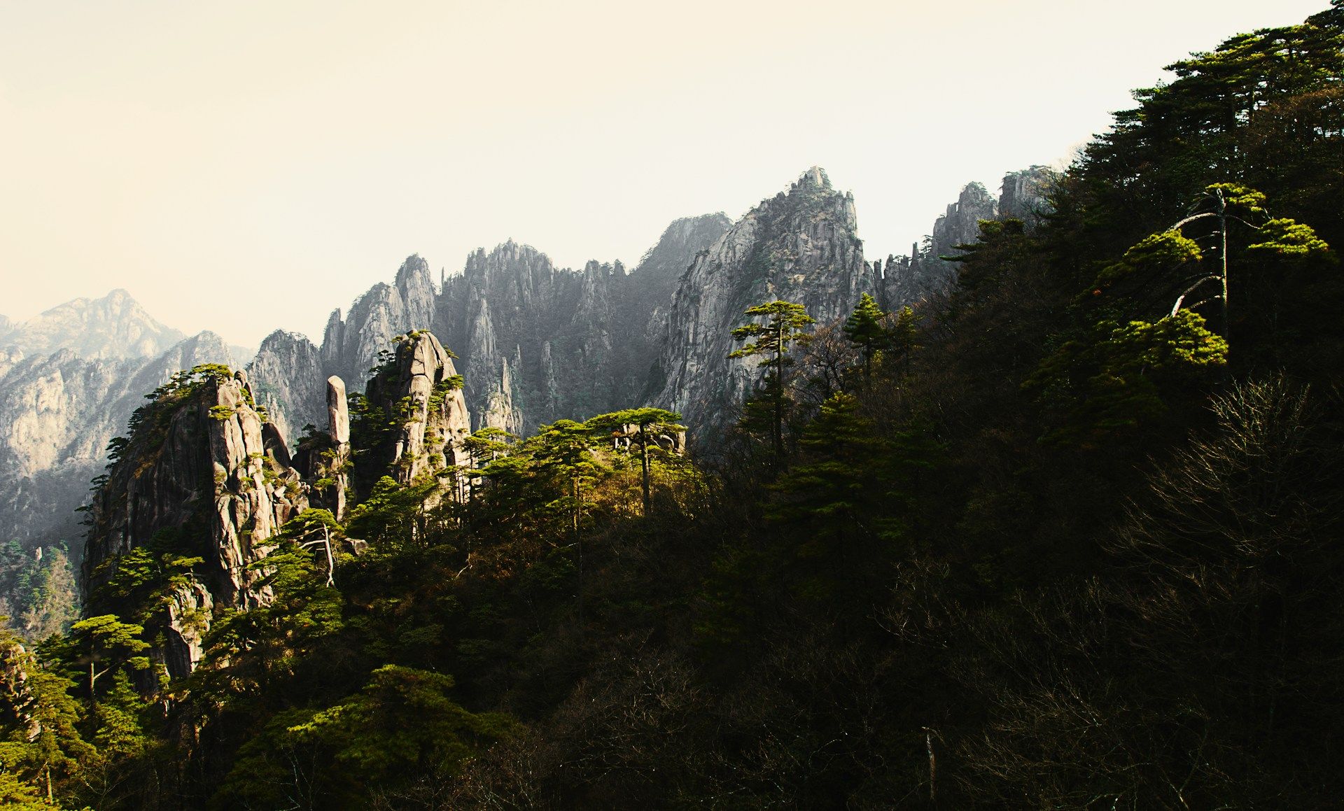 the-yellow-mountains-in-summer