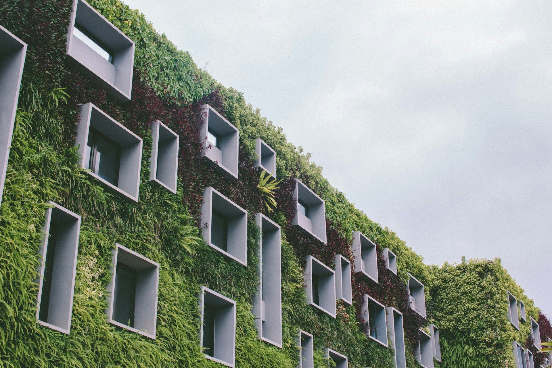 Eco-friendly hotel