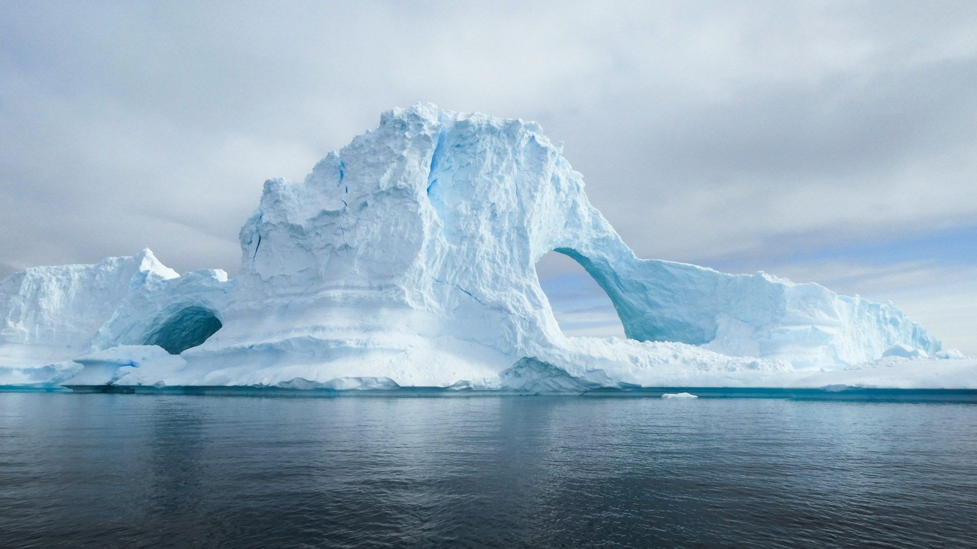 beautiful-icebergs-in-artarctica