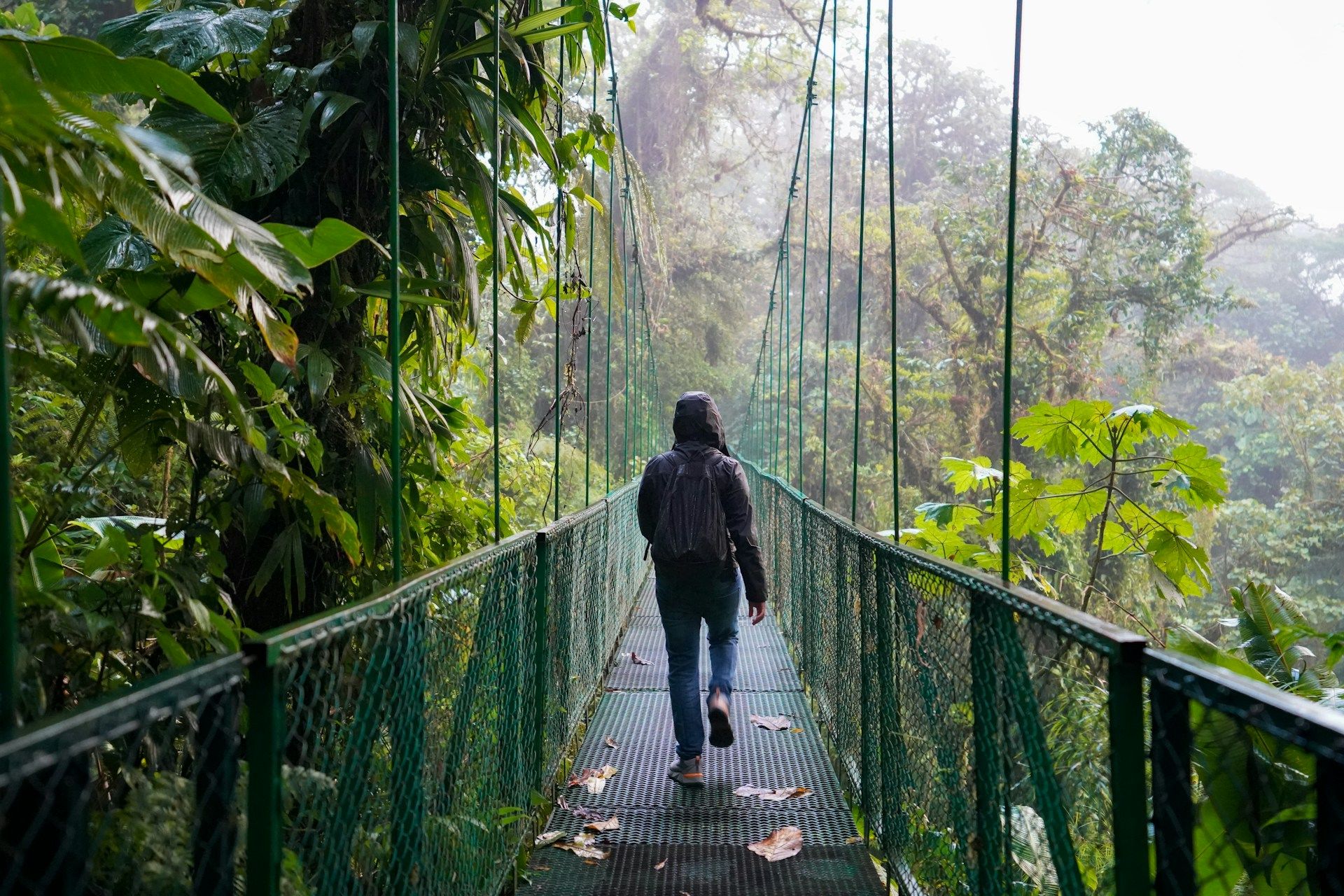 guy-crossing-a-hanging-bridge-in-la-fortuna-costa-rica