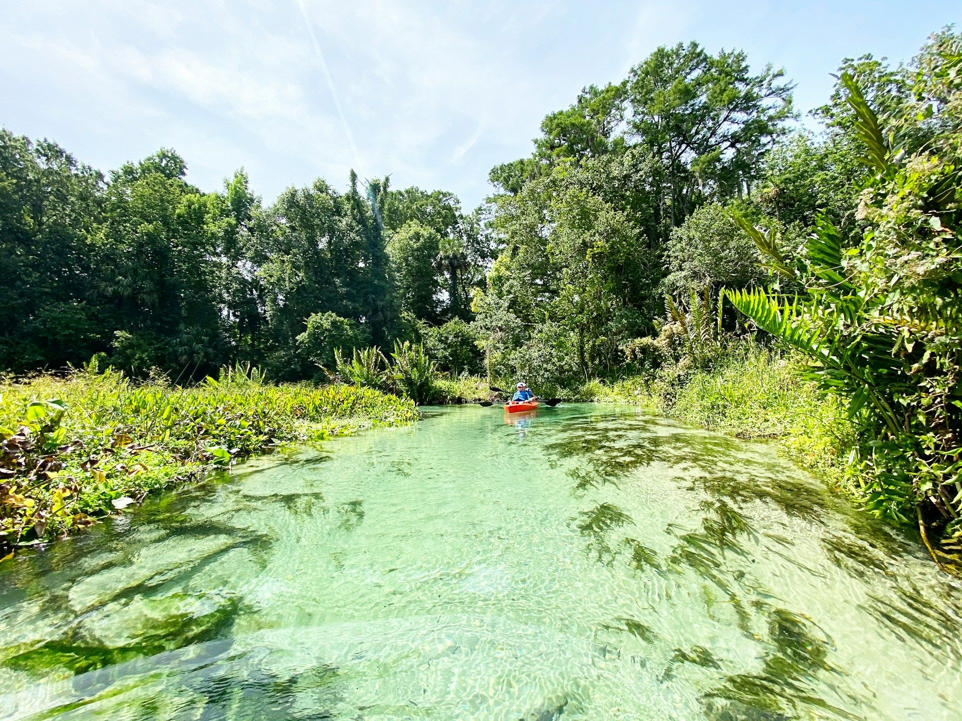 people-on-kayaks-on-weeki-wachee-river