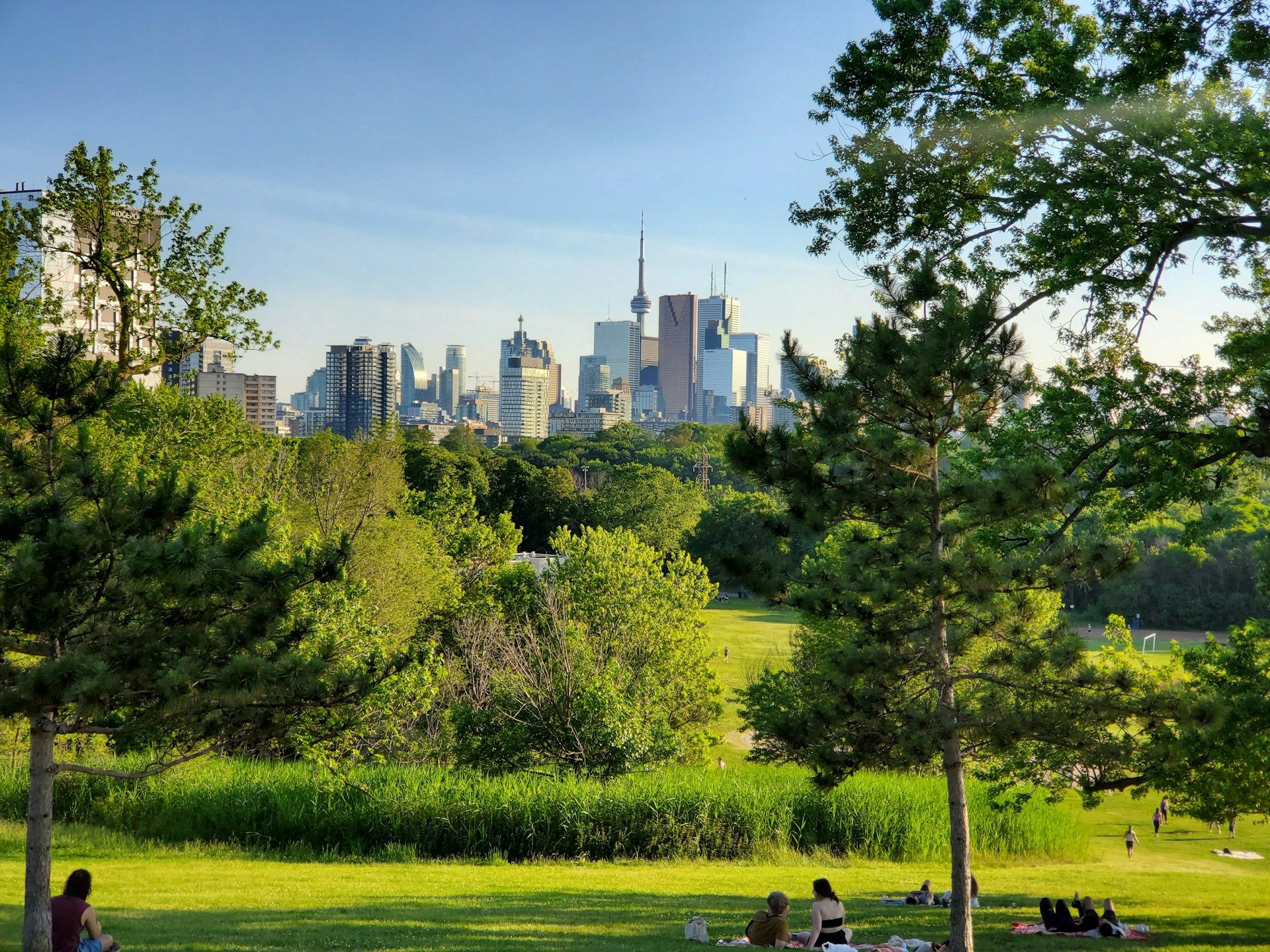 another-green-space-in-toronto