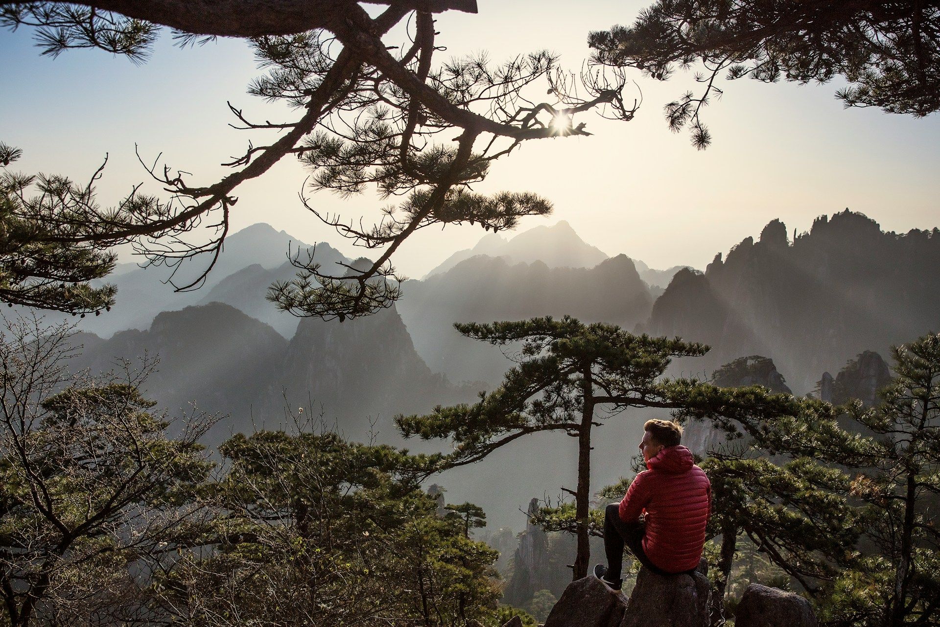 ancient-pines-in-huangshan