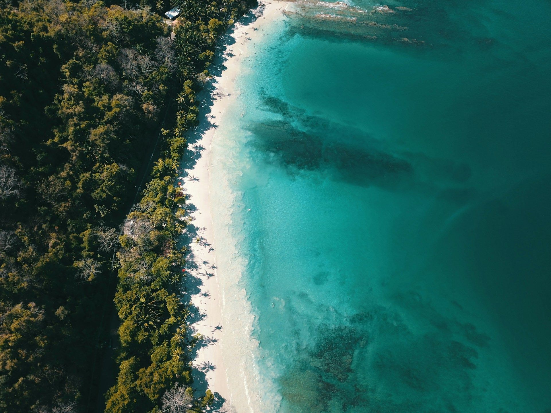 When to Visit Costa Rica: Insider Tips on Weather, Costs, and Life