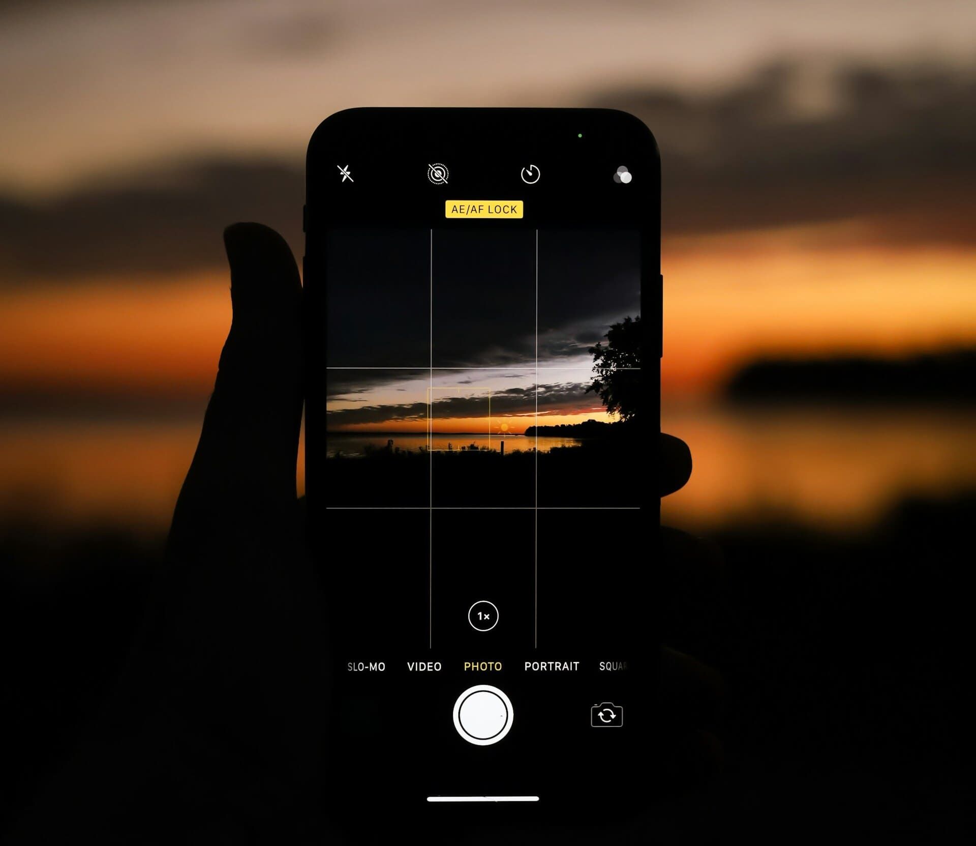 Features like Night Mode and RAW let the camera gather light over a few seconds, which helps bring out subtle reds, purples, and deeper greens. 