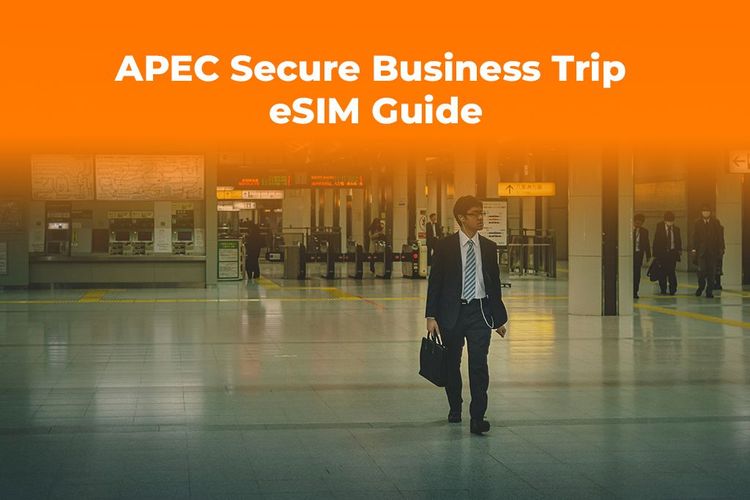 Traveling for APEC? Secure Your Business Trip with an eSIM