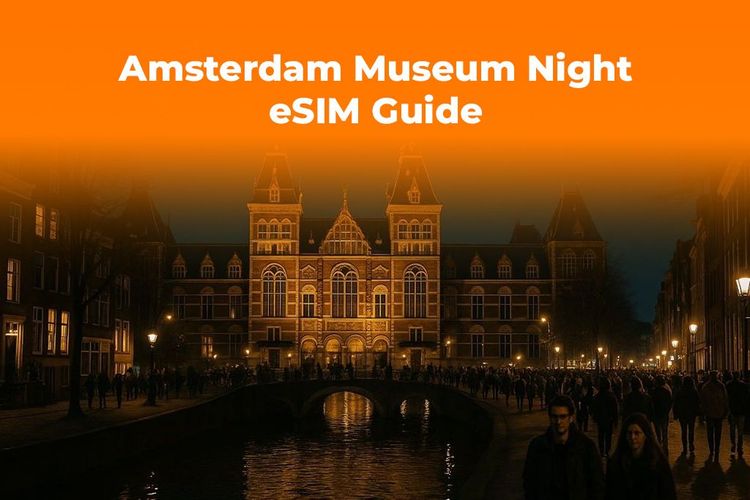 Amsterdam Museum Night: Get an eSIM for Maps & Live Updates