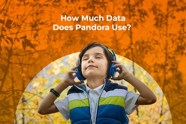 How Much Data Does Pandora Use?