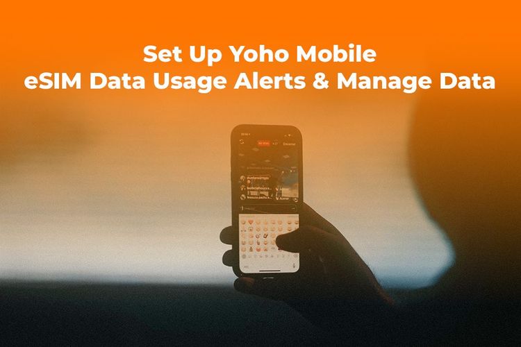 Set Up Yoho Mobile eSIM Data Usage Alerts & Manage Data