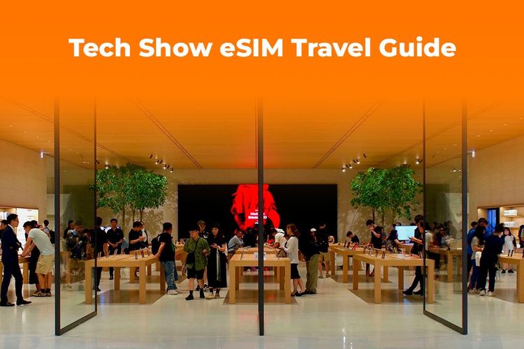 Got a New Phone at Tech Show 2025? Activate an eSIM for Travel