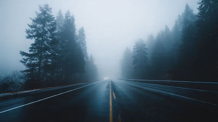 A cinematic, moody New England highway lined with foggy pine trees at dawn, evoking Stephen King atmosphere; travel photography style, high detail, wide-angle composition; image for illustrating a Maine horror road trip guide