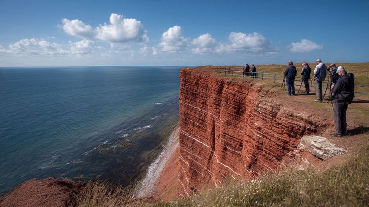 A scenic view of Heligoland’s red cliffs under a bright sky, travelers taking photos by the sea — perfect for illustrating North Sea travel and island exploration.