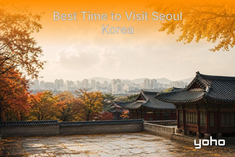 best time to visit seoul korea article image