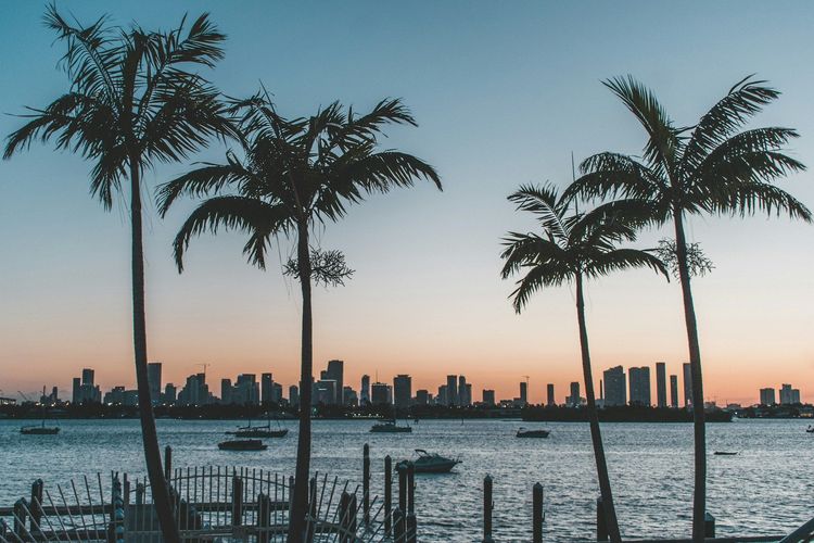 Let's explore hidden gems in Florida