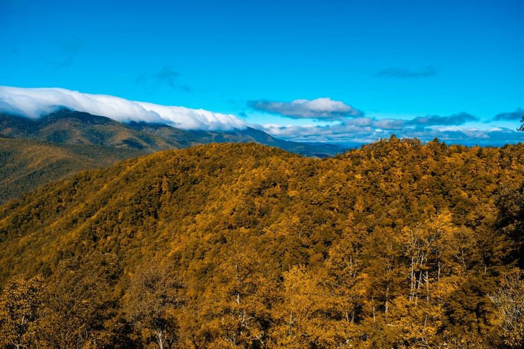 Big Laurel Gap Overlook, Blueridge Parkway, Asheville, NC