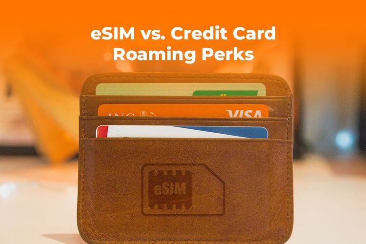 eSIM vs. Credit Card Roaming Perks (2025): The Real Cost
