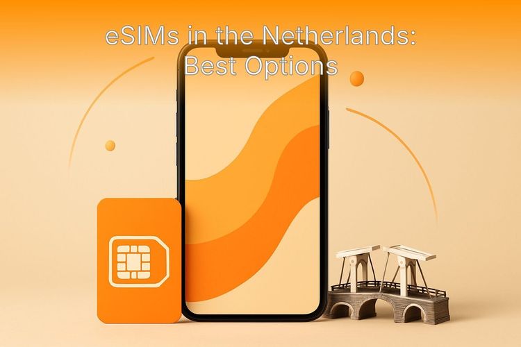 Traveler checking mobile data on a smartphone while standing on an Amsterdam canal bridge.