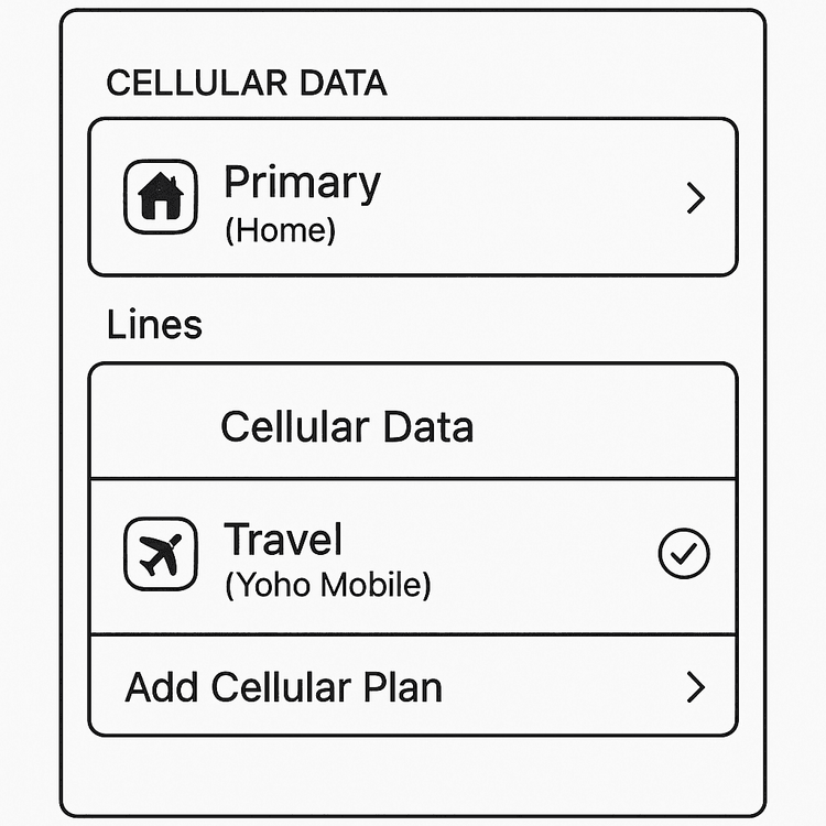 Diagram showing how to manage dual eSIMs for home and travel data on an iPhone 17 in the settings menu.