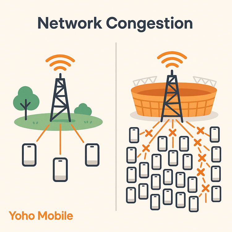 Diagram showing how a cell tower gets overloaded, causing network congestion at a crowded stadium.