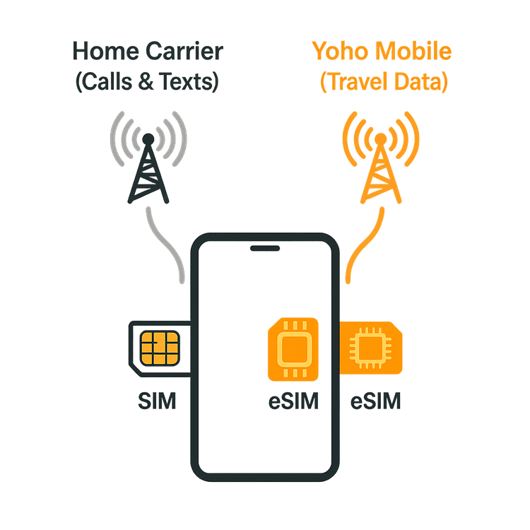 Diagram showing how a dual SIM phone uses both a physical SIM and an eSIM to connect to two different networks simultaneously.