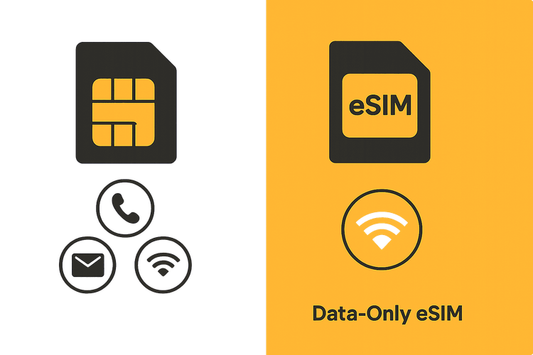 Infographic comparing the features of a traditional SIM card versus a data-only eSIM.