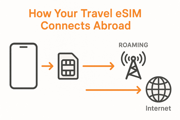 Diagram showing how a travel eSIM connects to the internet by roaming on a local network.