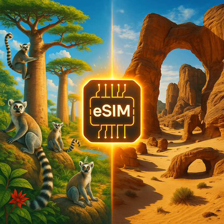 A collage showing the landscapes of Madagascar and Chad linked by a central eSIM icon.