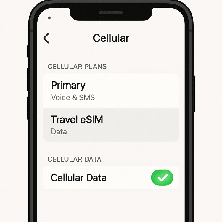Illustration of a phone's dual SIM settings, showing how to correctly assign the travel eSIM for cellular data.