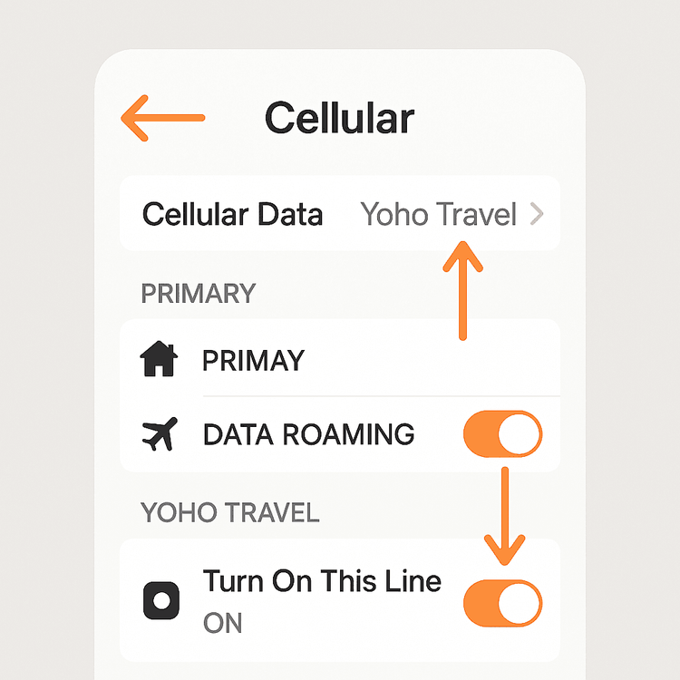Diagram of optimal iPhone dual SIM settings for travel, showing Data Roaming OFF for the primary line and Cellular Data set to the travel eSIM.