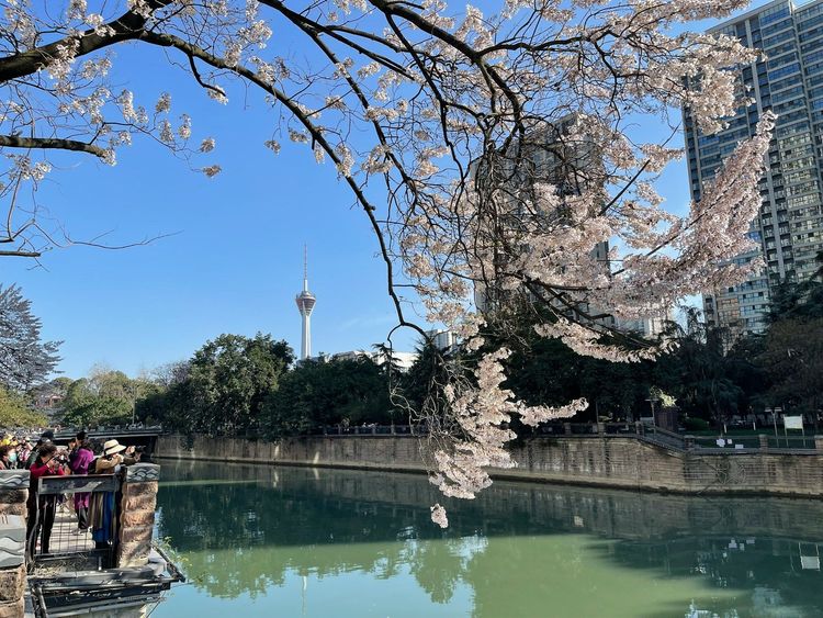 Spring, the best season to visit China