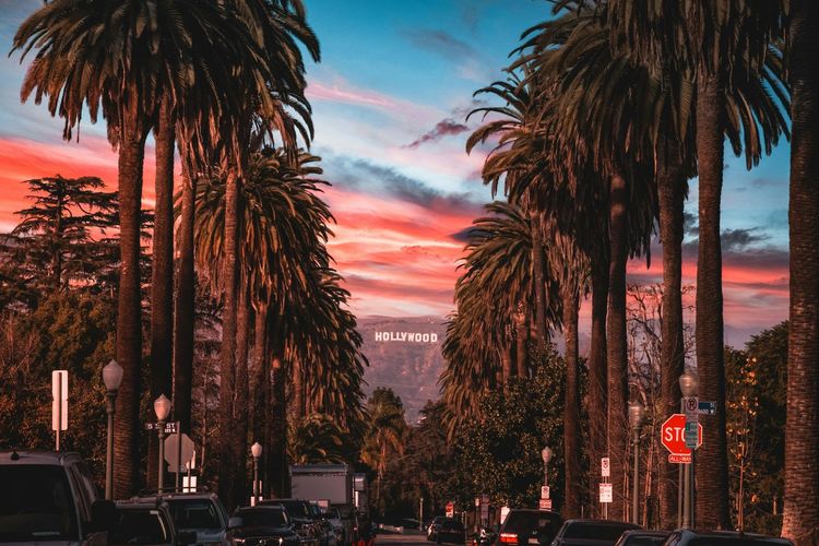 Entering the iconic LA