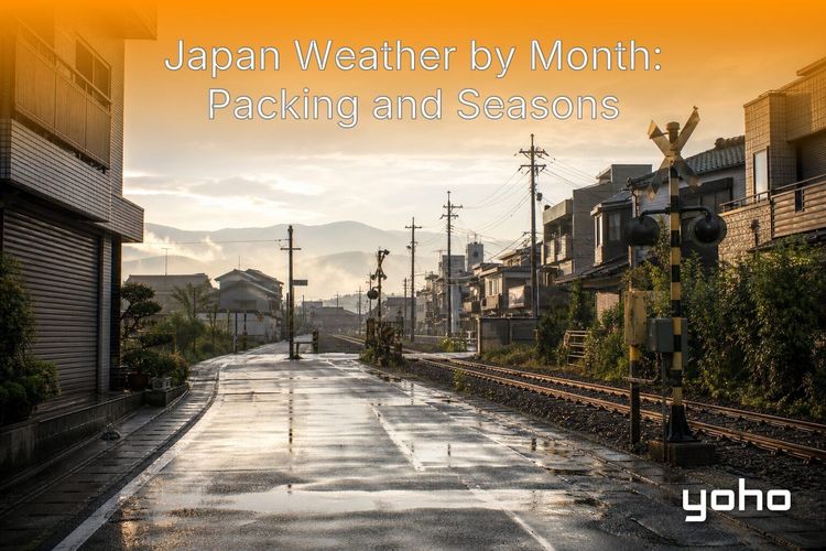 Japan Weather by Month: Seasons, Packing and Tips article image