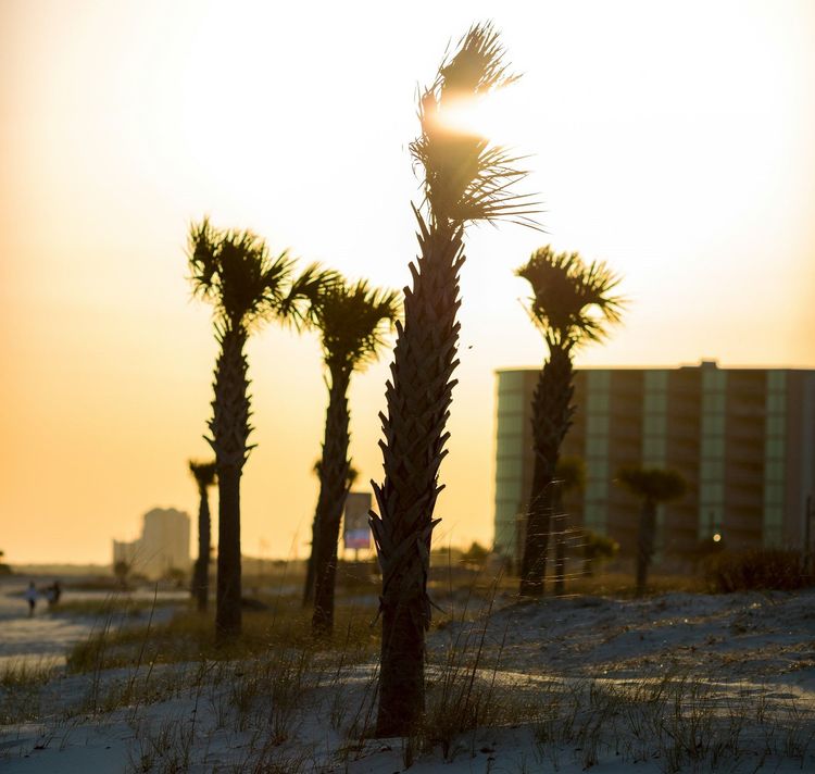 Best Things to Do in Biloxi MS