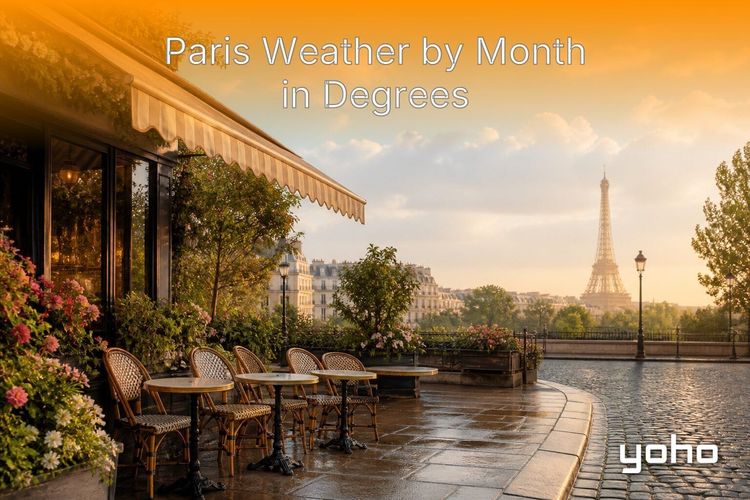 Paris Weather by Month in Degrees: Travel Planner article image