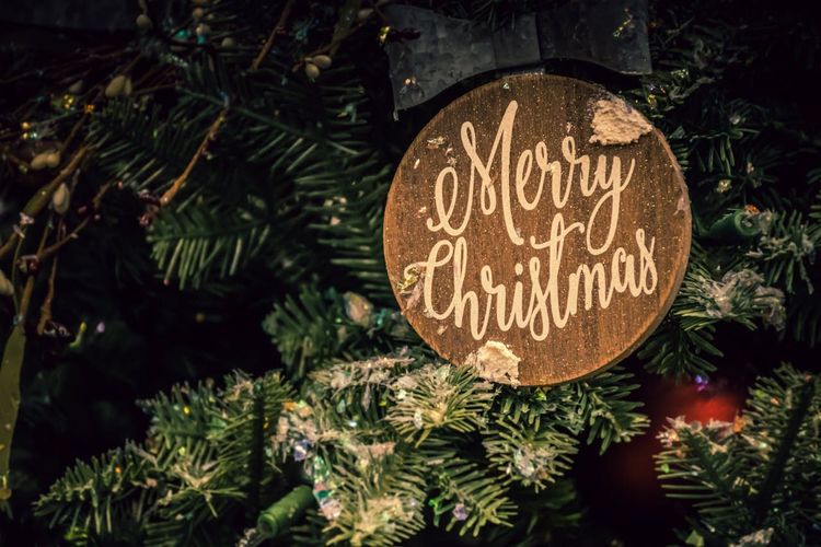 all the surprising fun facts behind Christmas
