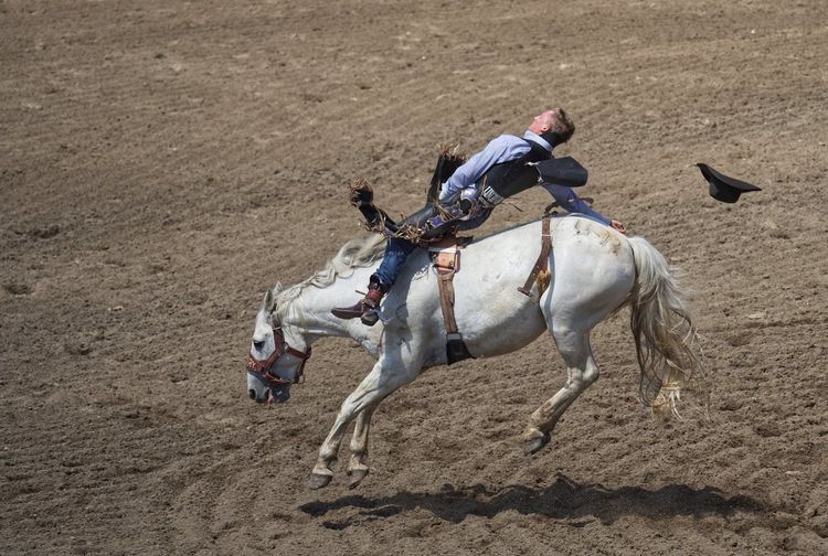 The Calgary Stampede is one of the biggest and most exciting events in Canada.