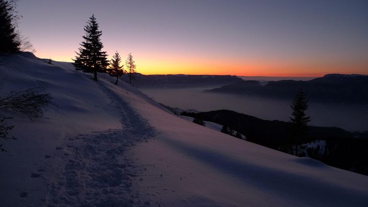 The Winter Solstice on December 21, 2025, will be the shortest day of the year
