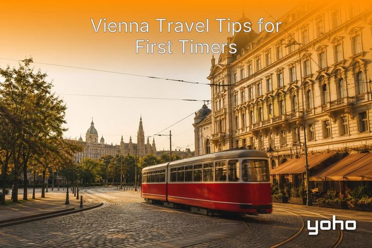 Vienna Travel Tips for First Timers: What to Know article image