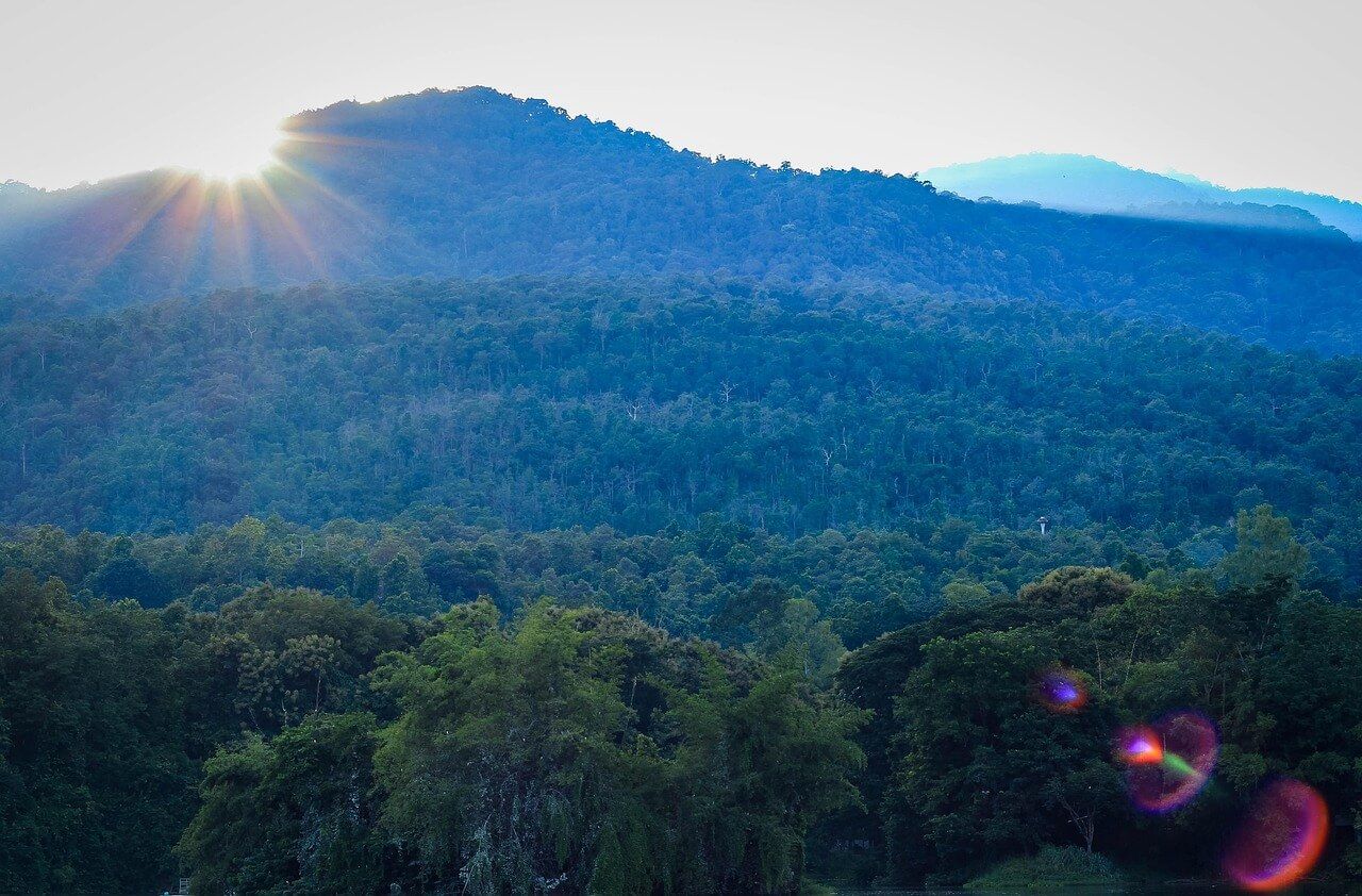 泰國鄉村的風景