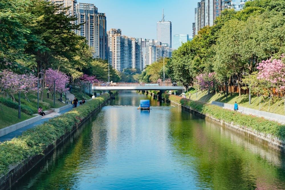 Shenzhen, on the other hand, has become a leading center for technology, manufacturing, and innovation