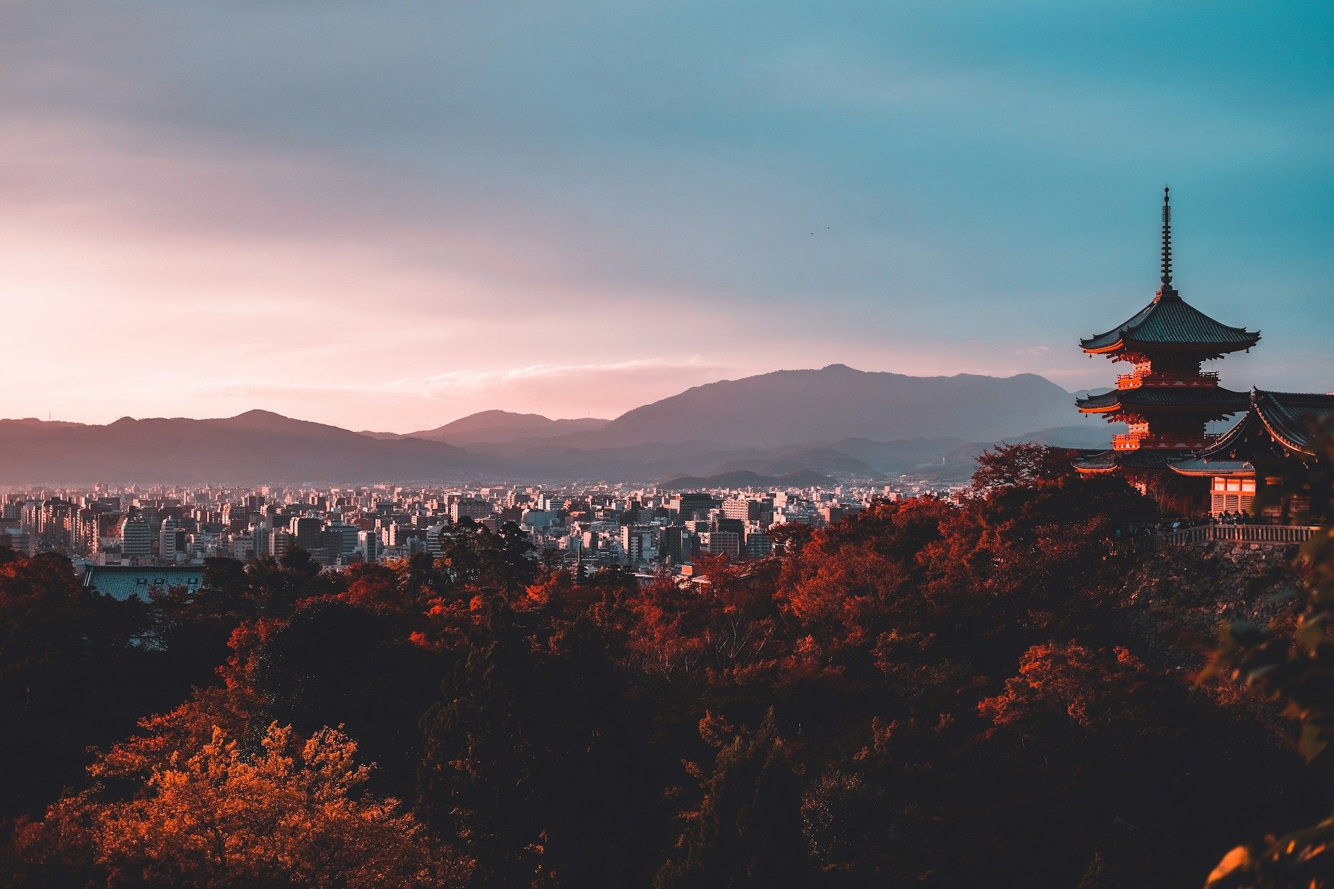 kyoto-view-from-the-woods