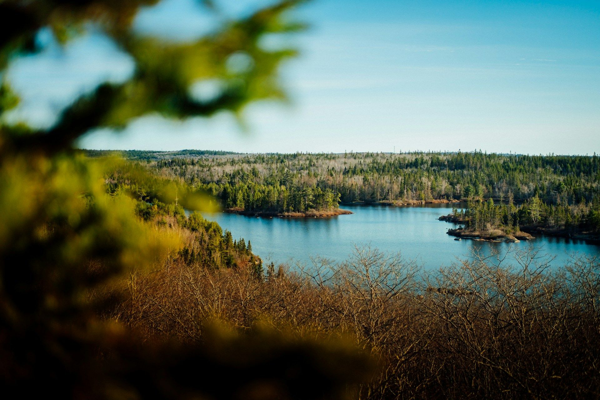belleza-natural-de-halifax